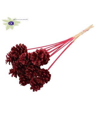 QC Intense burgundy pine cones side plugs on stick | Diameter 5 - 7 centimetres | Per 50 pieces