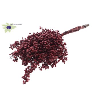 QC Burgundy dried pepper berries | Packed per piece | Per 5 pieces