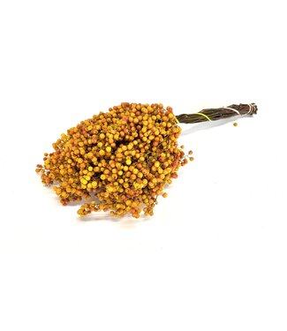 QC Yellow dried pepper berries | Packed per piece | Per 5 pieces