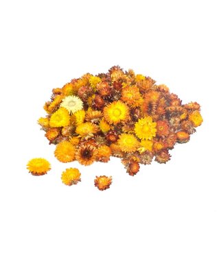 LDD Orange Strohblumen Helichrysum Köpfe | Gewicht 2 Kilogramm | Pro Stück