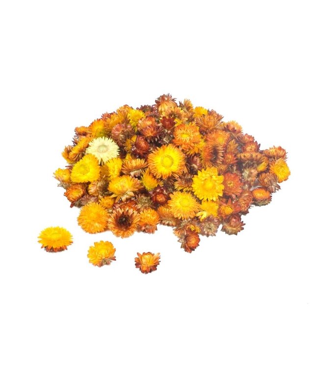 Orange Straw Flowers Helichrysum heads | Weight 2 kilograms | Order individually