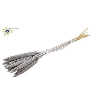 QC Babala séché de couleur argentée avec paillettes | Fleurs séchées de millet ou de millet | Longueur 65 centimètres | Par 200 pièces