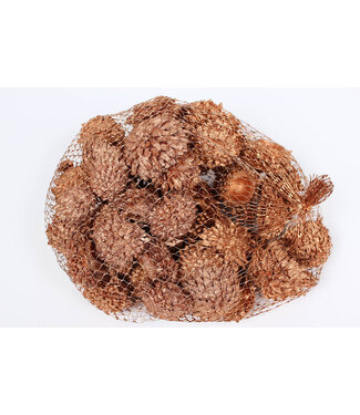 QC Copper-coloured Acorn acorns | Packed per 500 grams | Per 4 pieces