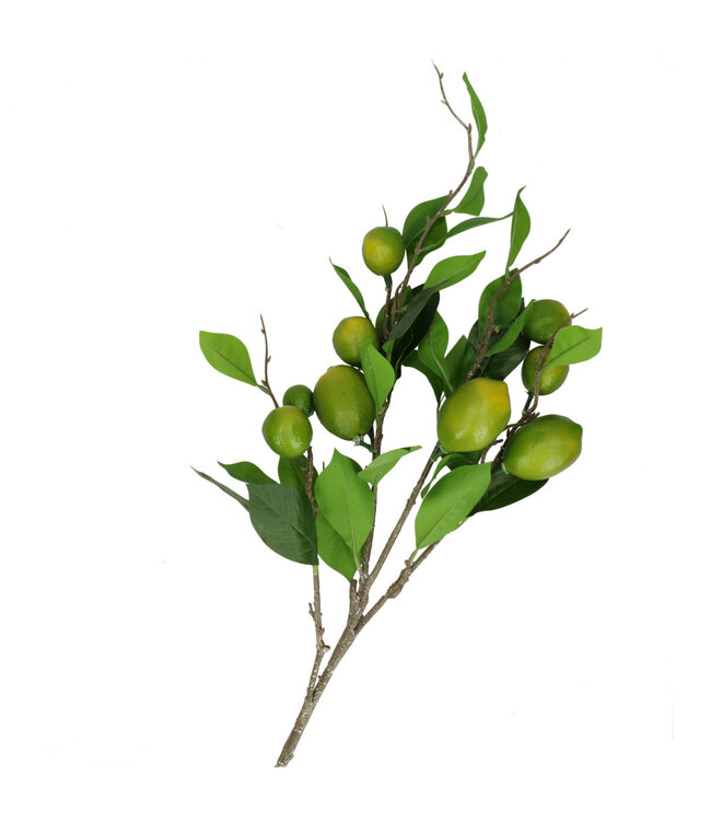 Kunstplanten Lemon 90cm ( x 1 )