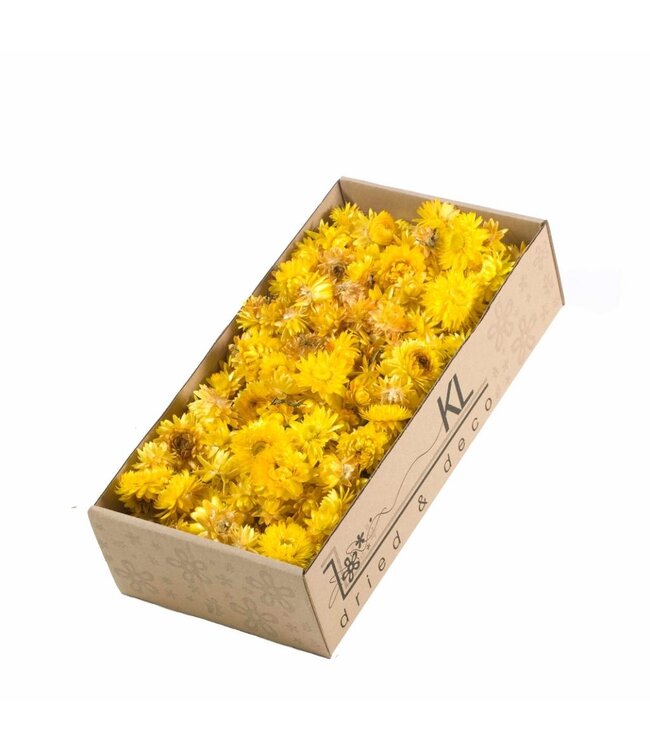 Yellow Straw Flowers Helichrysum heads | Weight 100 grams | Order individually