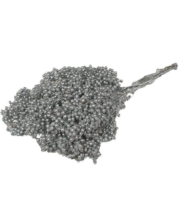 Silver coloured dried pepper berries with glitter | Packed per piece in plastic bag | Ordered per 5 pieces