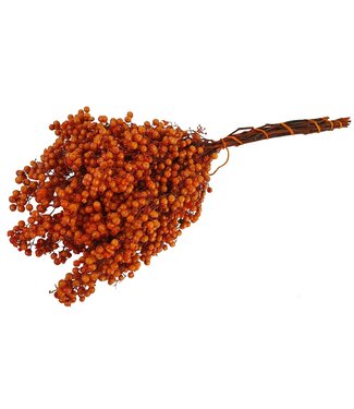 QC Terracotta-coloured dried pepper berries | Packed per piece | Per 5 pieces