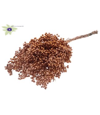 QC Copper-coloured dried pepper berries with glitter | Packed per piece | Per 5 pieces