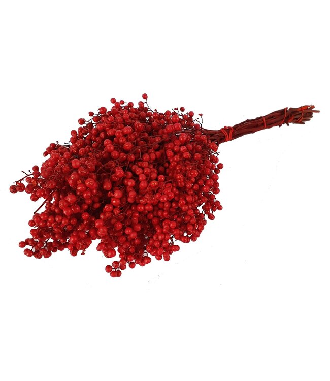 Red dried pepper berries | Packed individually in plastic bag | Ordered per 5 pieces