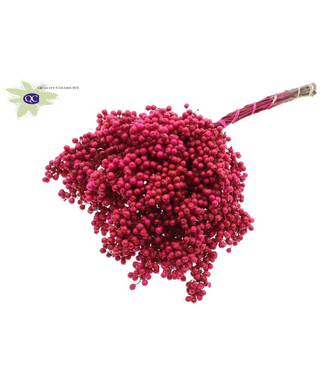 Cherry-coloured dried pepper berries | Packed in plastic bag | Ordered per 5 pieces