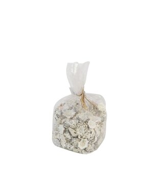 4A Coquilles Star Limpit | Poids 500 grammes | Par paquet