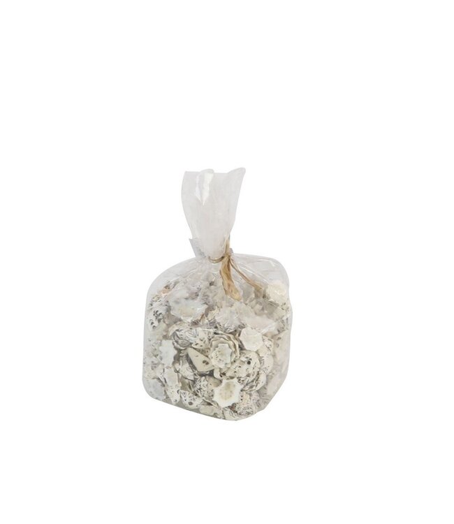 Coquilles Star Limpit | Poids 500 grammes | Par paquet sur commande