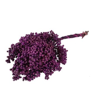 QC Purple dried pepper berries | Packed per piece | Per 5 pieces