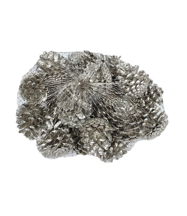 Platinum-coloured pine cones in a net | Weight 1 kilogram | Order per 4 nets