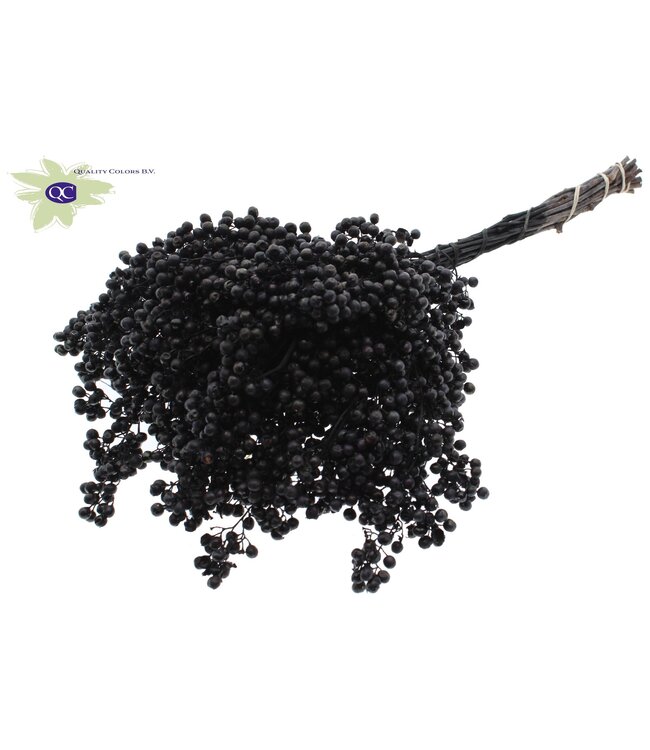 Black dried pepper berries | Packed individually in plastic bag | Ordered per 5 pieces