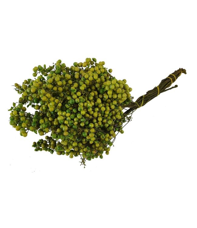 Light green dried pepper berries | Packed per piece in plastic bag | Ordered per 5 pieces