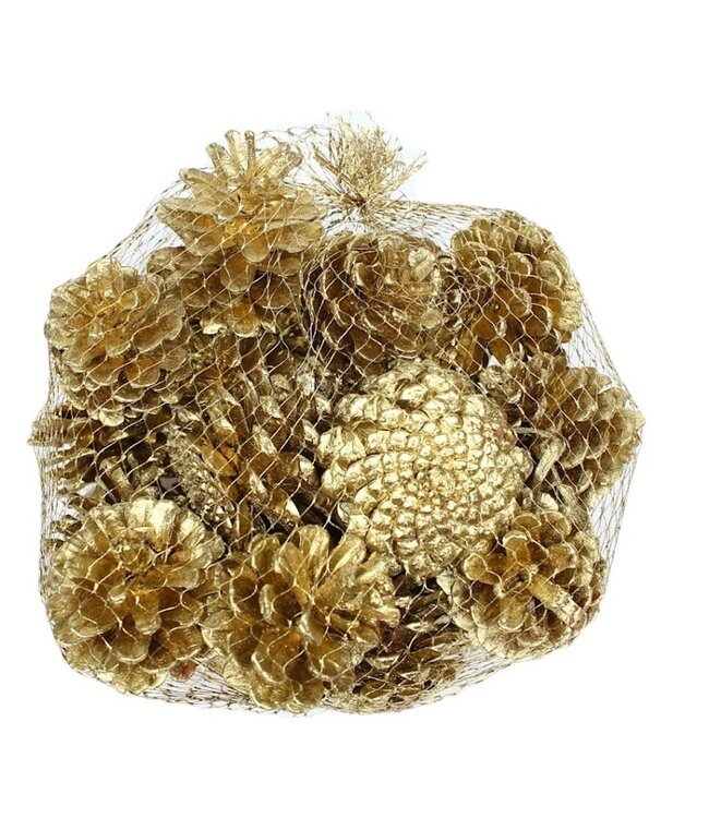 Gold-coloured pine cones in a net | Weight 1 kilogram | Order per 4 nets