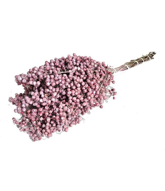 Matt pink dried pepper berries | Packed in plastic bag | Ordered per 5 pieces