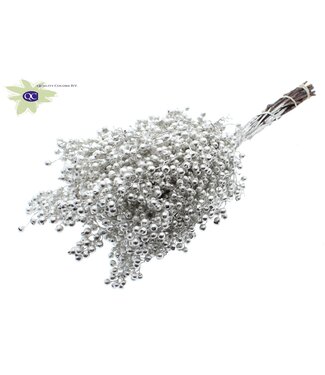 QC Platinum-coloured dried pepper berries | Packed by piece | Per 5 pieces