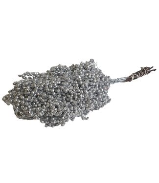 QC Silver coloured dried pepper berries | Packed per piece | Per 5 pieces