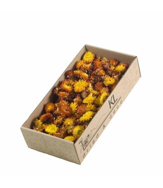 LDD Natural orange dried helichrysum heads | Weight 100 grams | Per 6 boxes