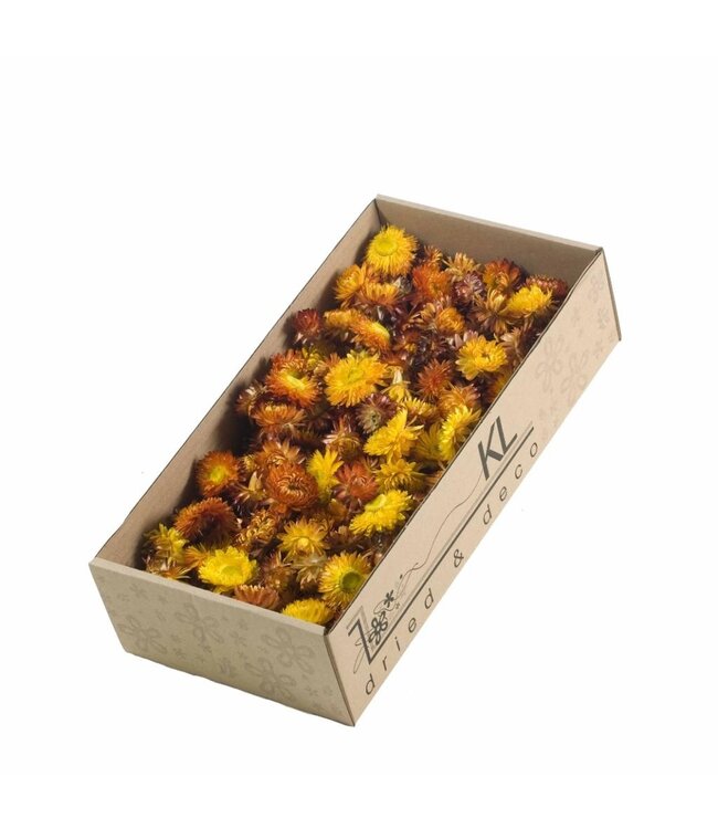 Natural orange dried helichrysum heads | Weight 100 grams | Order per 6 boxes