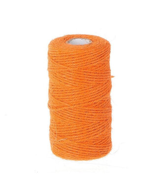 4A Fil de jute orange | Diamètre 2 millimètres | Longueur 100 mètres | Unité