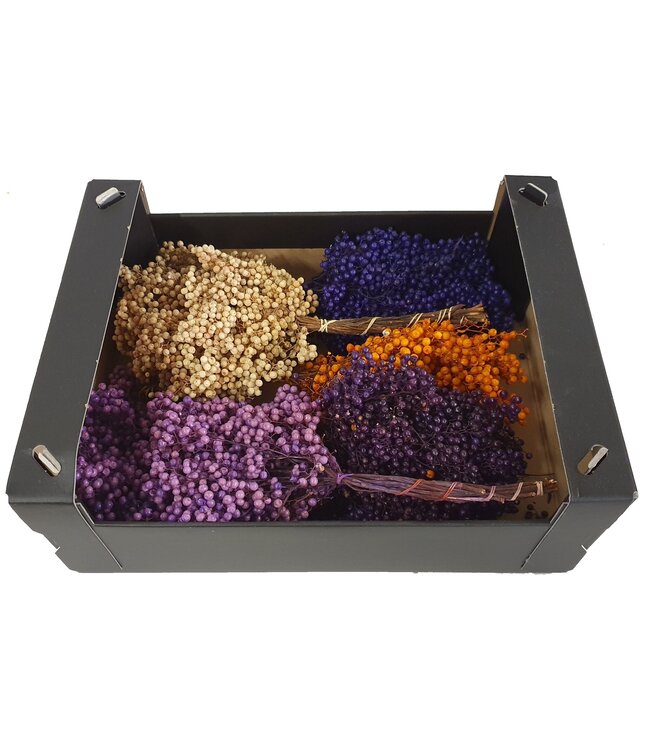 Mixed spring colours dried pepper berries | Packed per piece in plastic bag | Ordered per 5 pieces