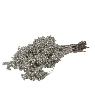 QC Platinum-coloured dried pepper berries with glitter | Packed per piece | Per 5 pieces