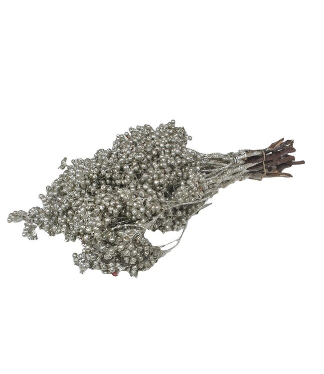 Platinum-coloured dried pepper berries with glitter | Packed in plastic bag | Ordered per 5 pieces