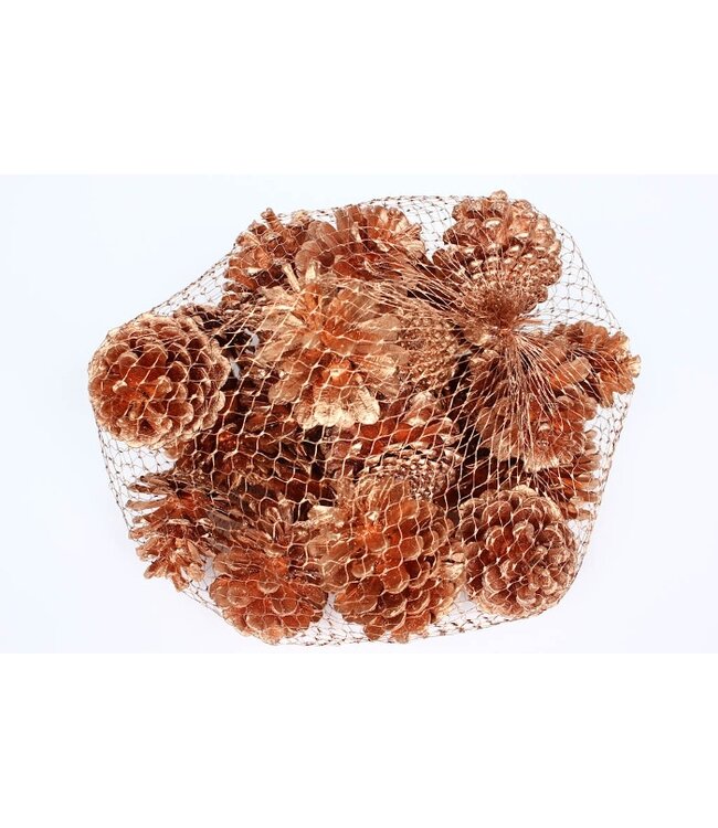 Copper-coloured pine cones in a net | Weight 1 kilogram | Order per 4 nets