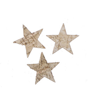 4A Kerst naturel Deco Berk ster 7cm x24 ( x 1 )