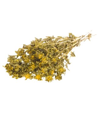 LDD Yellow dried Carthamus | Safflower or Bidens dried flowers | Per 15 bunches