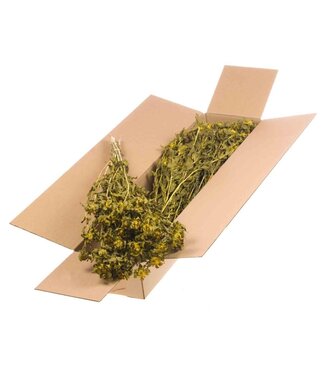 LDD Yellow dried Carthamus | Safflower or Bidens dried flowers | Per 3 bunches