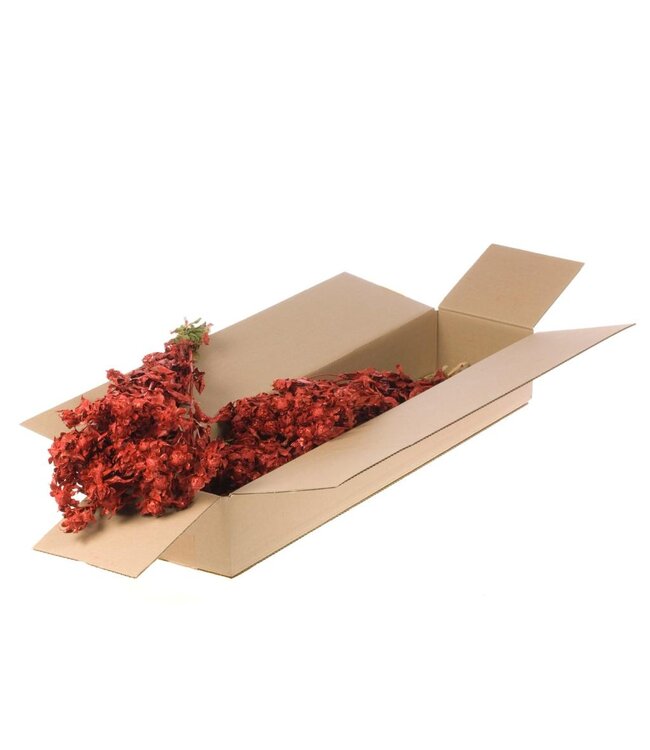 Red dried Carthamus with glitter | Safflower or Bidens dried flowers | Order per 3 bunches