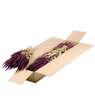 LDD Naturel rode gedroogde Amaranthus Cruentus | Kattenstaart droogbloemen | Per 4 bossen