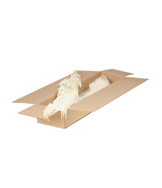 LDD Blanc blanchi réservé Amaranthus caudatus | Par 4 bottes