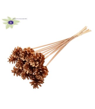 QC Antique gold coloured pine cones side plugs on stick | Diameter 5 - 7 centimetres | Per 50 pieces