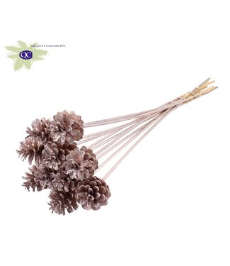 QC Champagne-coloured pine cones with glitter side plugs on stick | Diameter 5 - 7 centimetres | Per 50 pieces