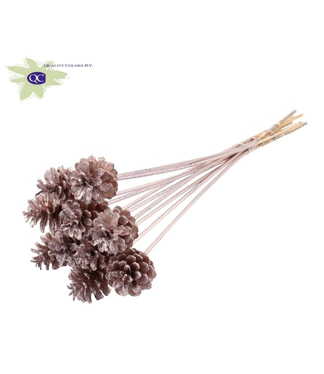 Champagne-coloured pine cones with glitter side plugs on stick | Diameter 5 - 7 centimetres | Order per 50 pieces