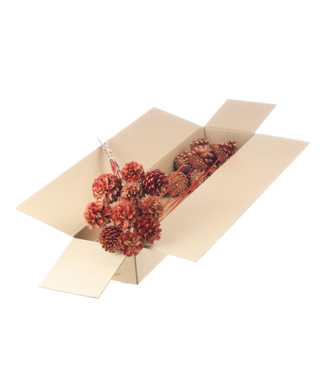 LDD Red pine cones with golden sheen side plugs on stick | 10 per bunch | Diameter 5 - 7 centimetres | Per 2 pieces