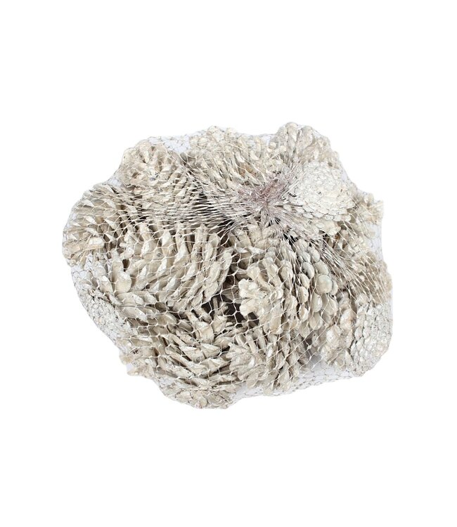 White pine cones in a net | Weight 500 grams | Order per 4 nets