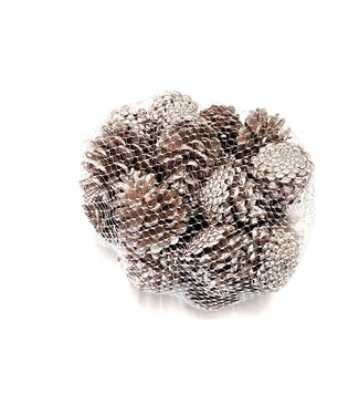 QC Champagne-coloured pine cones in a net | Weight 500 grams | Per 4 pieces