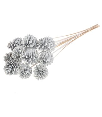 LDD Matt white pine cones side plugs on stick | 10 per bunch | Diameter 5 - 7 centimetres | Per 12 pieces