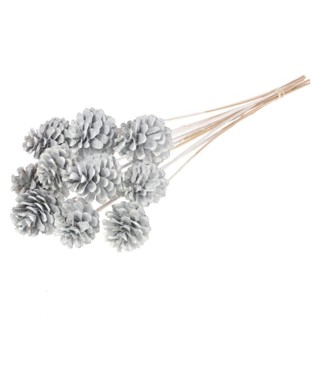 Frosted white pine cones on stick | 10 pieces per bunch | Diameter 5 - 7 centimetres | Order per 12 bunches