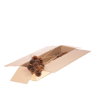 LDD Natural pine cones on stick | 10 pieces per bunch | Diameter 5 - 7 centimetres | Per 2 pieces