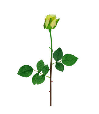 4A Light green rose artificial flowers | Length 46 cm | 24 pieces