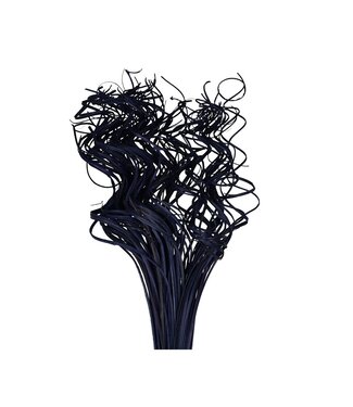 4A Nerf violette séchée et bouclée de feuille de palmier | Curly Ting Ting déco séchée | Longueur 70 centimètres | Poids 200 grammes | À l'unité