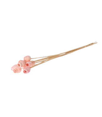 4A Bijsteker 50cm Bellgums 3cm ( x 10 )