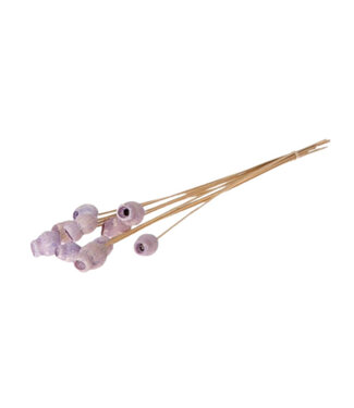 4A Bijsteker 50 centimeter Bellgums 3 centimeter | Per 10 stuks